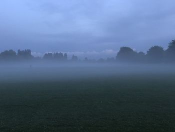 Trees on field against sky