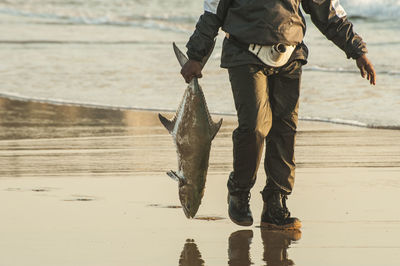 Low section of man holding fish while walking at beach during sunset