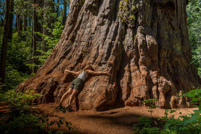 Rear view of man in forest