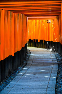 View of orange road