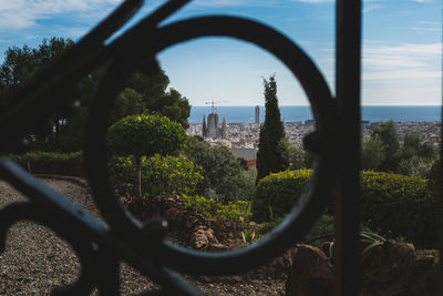 Trees and plants by buildings against sky seen through fence