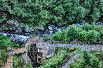 High angle view of water flowing in forest
