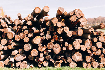 Stack of logs