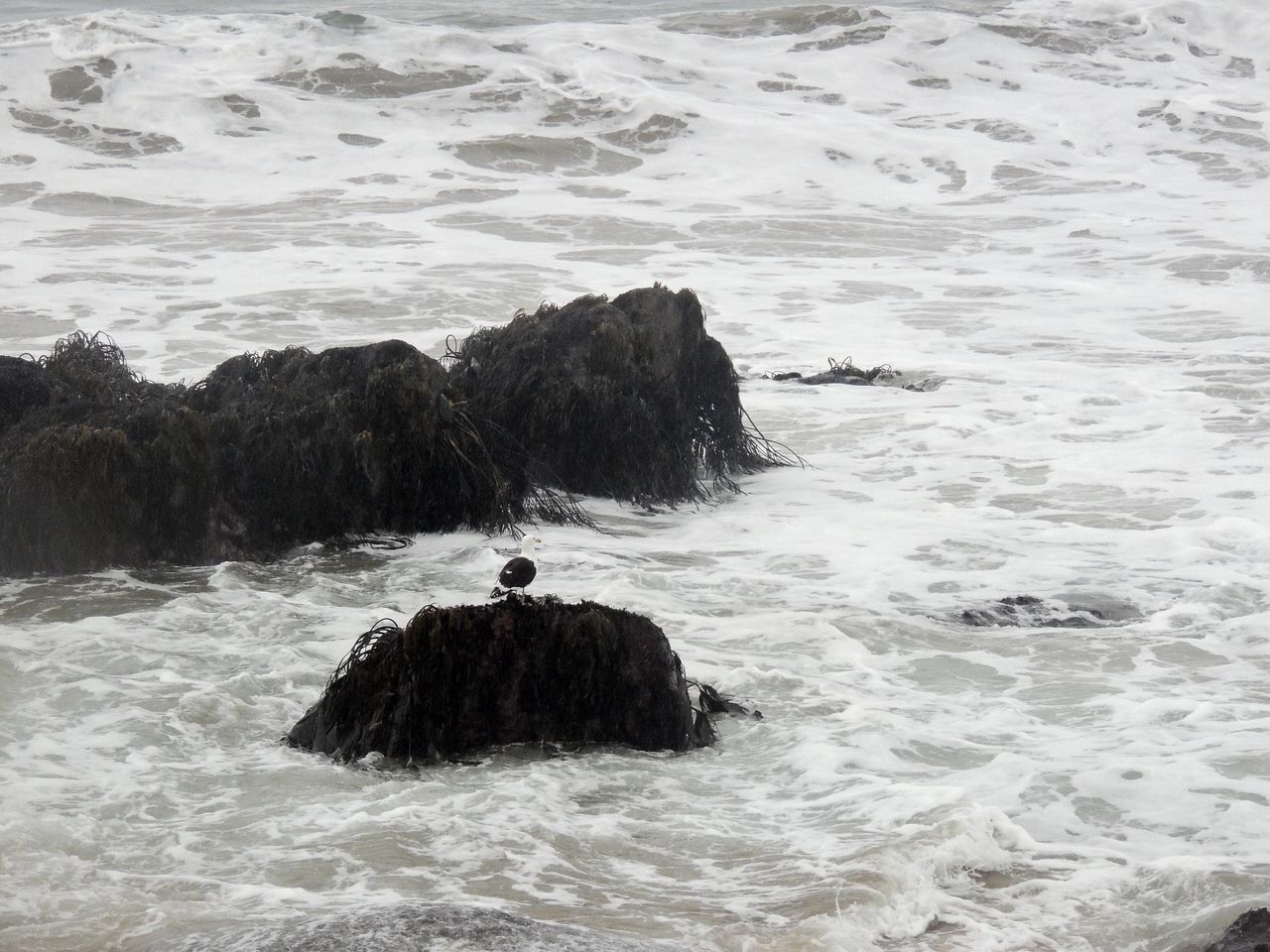 water, sea, rock - object, leisure activity, wave, lifestyles, waterfront, men, beauty in nature, nature, scenics, rock formation, tranquility, vacations, surf, rippled, unrecognizable person, tranquil scene