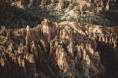 Bryce canyon from bryce point at sunset
