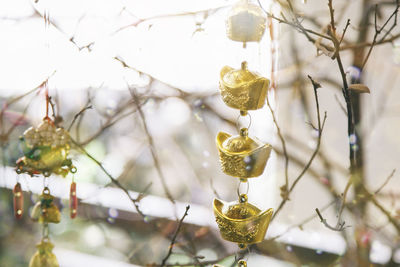 Low angle view of decoration hanging on tree