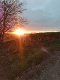 Scenic view of field against sky during sunset
