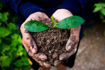 Close-up of man holding plant