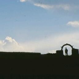 sky, silhouette, cloud - sky, landscape, field, tranquility, tranquil scene, nature, scenics, beauty in nature, cloud, built structure, flying, outdoors, dusk, tree, cloudy, bird, architecture, building exterior