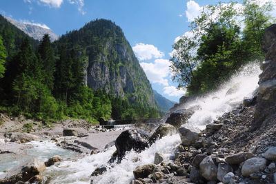 Scenic view of waterfall in forest