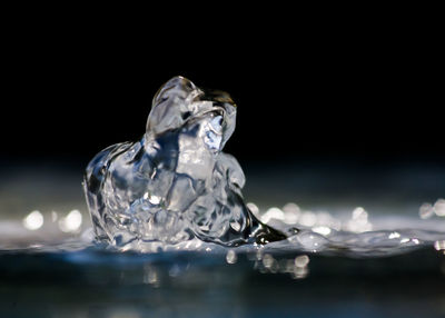 Close-up of water in black background