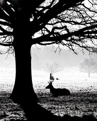 Silhouette man on field against sky