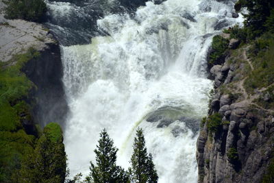 Scenic view of waterfall in forest