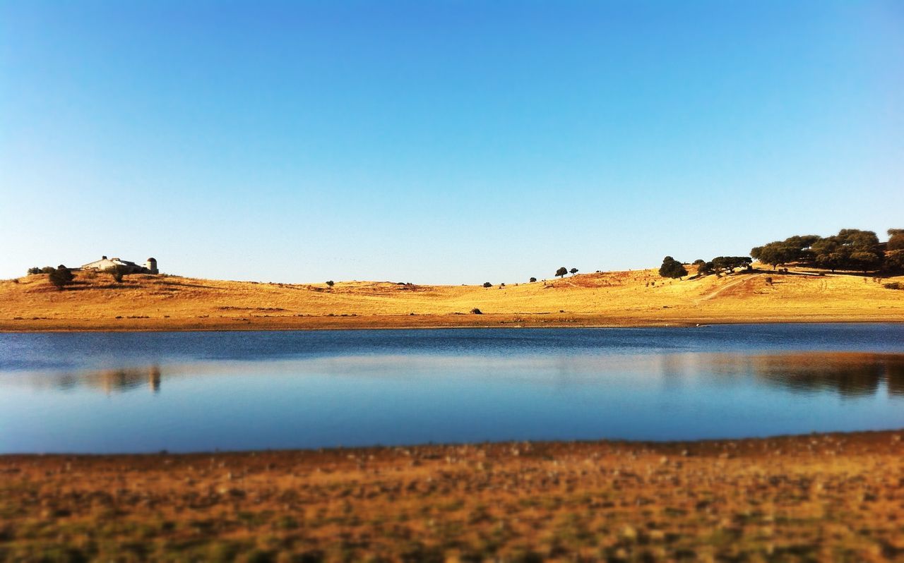 clear sky, copy space, landscape, blue, tranquil scene, tranquility, field, scenics, nature, beauty in nature, horizon over land, rural scene, sand, surface level, non-urban scene, agriculture, outdoors, remote, day, tree