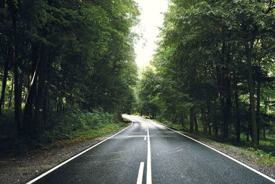 Road amidst trees in forest