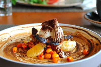 Close-up of meal served in plate