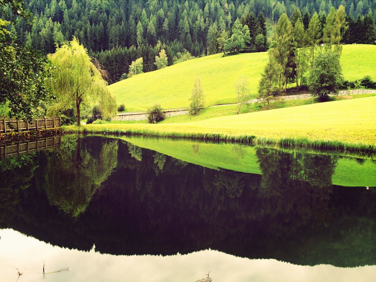 tranquility, tranquil scene, tree, green color, landscape, scenics, rural scene, beauty in nature, field, water, nature, reflection, grass, agriculture, growth, farm, green, stream, idyllic, lake