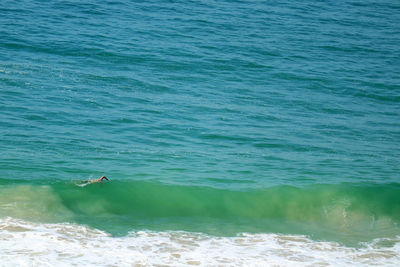 Person swimming in sea