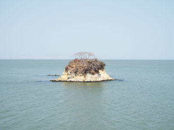 Scenic view of sea against clear sky