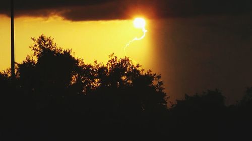 Silhouette of trees at sunset