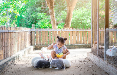 Girl feeding rabbits