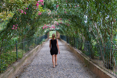 Rear view of woman walking on footpath amidst plants