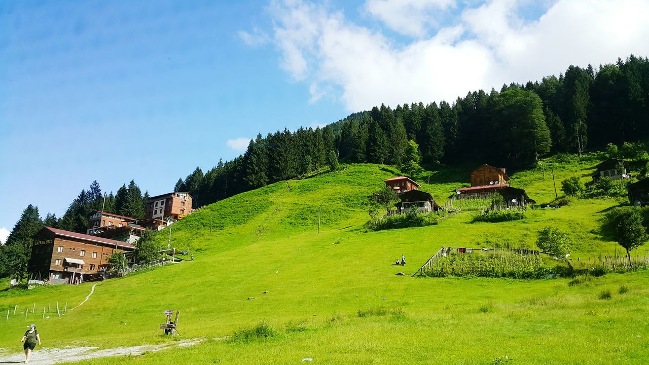 Ayder Yaylası Piknik Alanı Rize