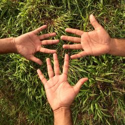 Cropped hands of men over grassy field