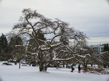 snow