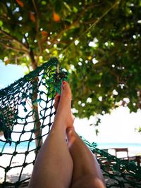 Low section of person legs against plants