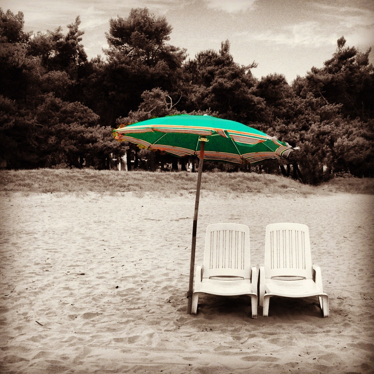 tree, beach, absence, water, chair, empty, tranquility, tranquil scene, sand, sea, nature, relaxation, shore, table, bench, sky, lounge chair, scenics, vacations, beauty in nature