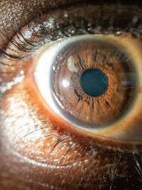 Close up of african american mans dark brown eyes for use in ophthalmology optometry imagery