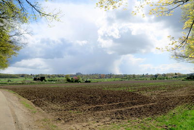 Scenic view of agricultural field against sky