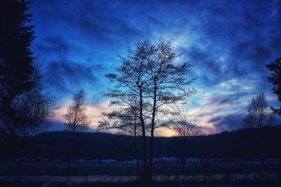 Low angle view of silhouette trees against blue sky