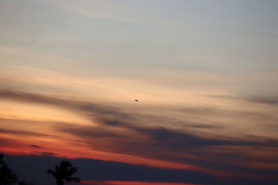Low angle view of orange sky