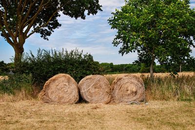 Hay bales on field against sky