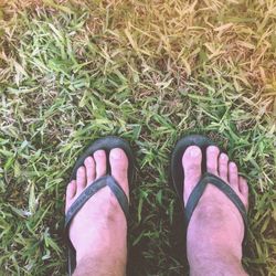 Low section of person standing on grassy field