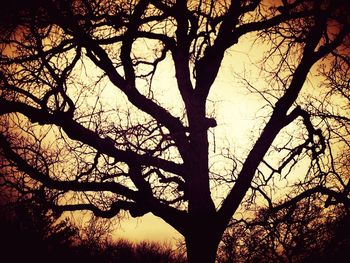 Silhouette bare trees against sky at sunset