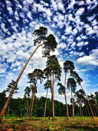 Low angle view of trees against cloudy sky