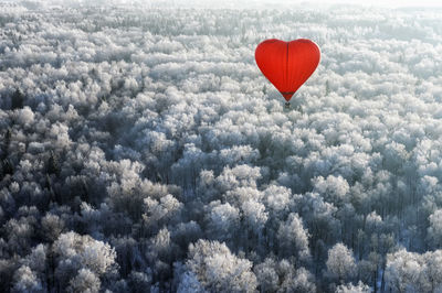 Heart shape hot air balloons flying over forest 