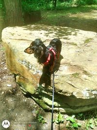 High angle view of person on rock