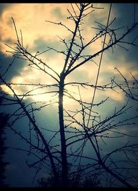 Low angle view of bare tree against cloudy sky