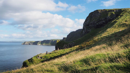 Landscape view of northern ireland in beautiful weather, carrick-a-rede rope bridge.