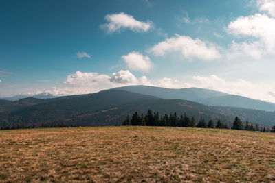 A view of the peaks of the beskid zywiecki mountain range. a meadow in the foreground. poland