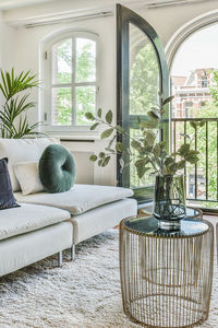 Potted plants on table at home