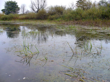 Scenic view of lake