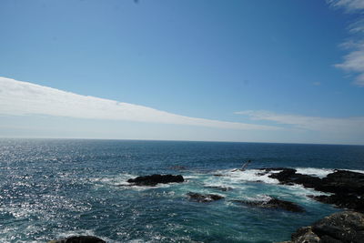 Scenic view of sea against blue sky