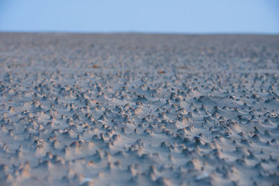Close-up of stones on sand against clear sky