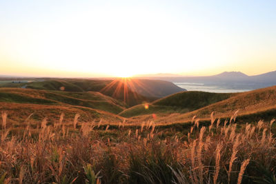 Scenic view of landscape against sky during sunset