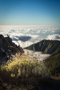 Scenic view of land against sky